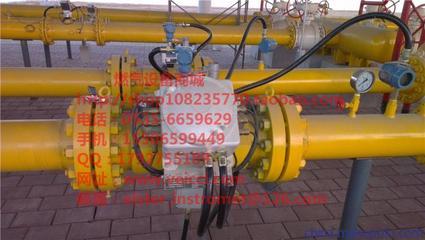 供應(yīng)elster埃爾斯特Q.Sonic氣體超聲波流量計圖片,供應(yīng)elster埃爾斯特Q.Sonic氣體超聲波流量計圖片大全,山東維希燃?xì)庠O(shè)備-